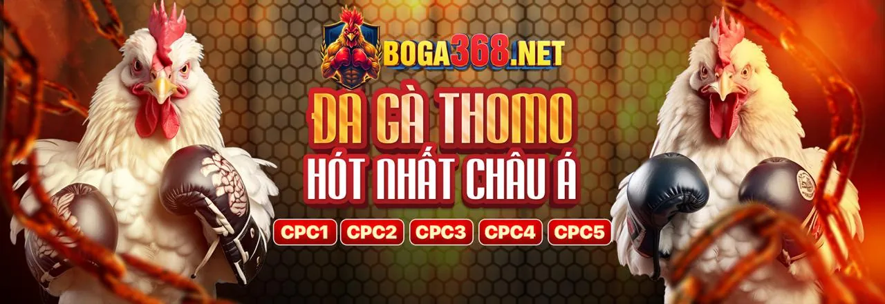 Các tính năng nổi bật của ứng dụng 777win vip