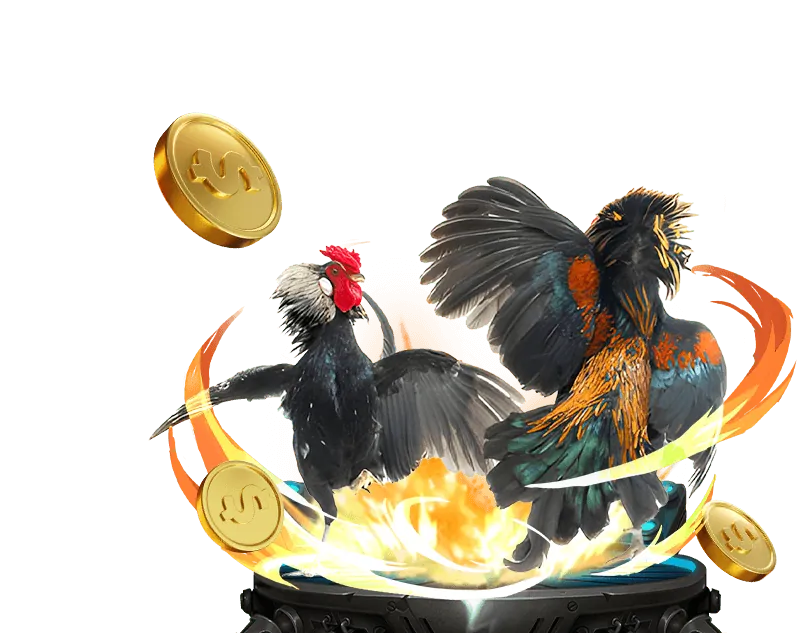 Đa dạng các môn thể thao khác